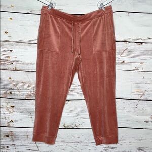 Soma Wknd NWT Size XXL Clay Rose Pink Velour Lounge Jogger Pants